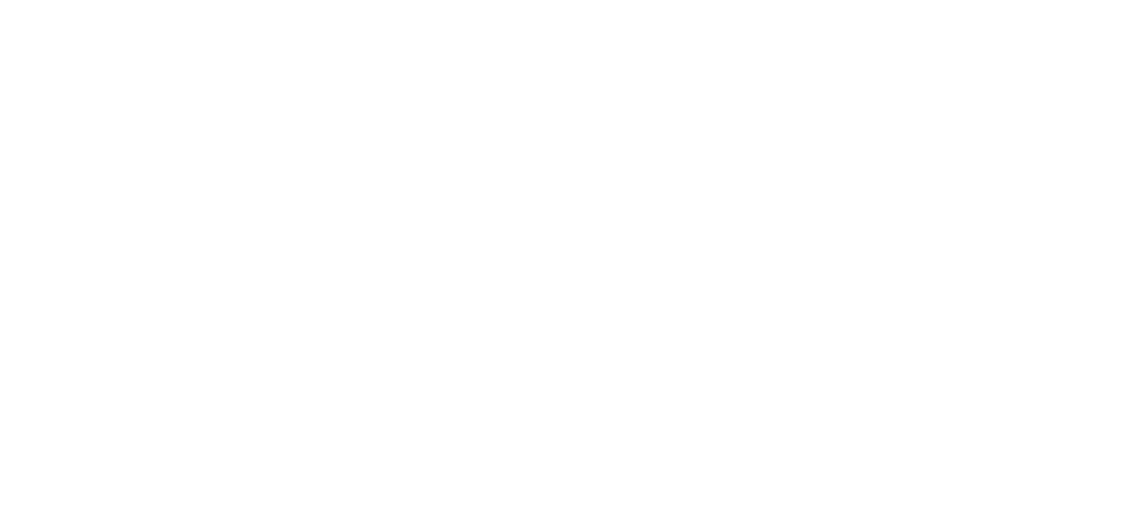 logo-jeanneau-sun-fast-white