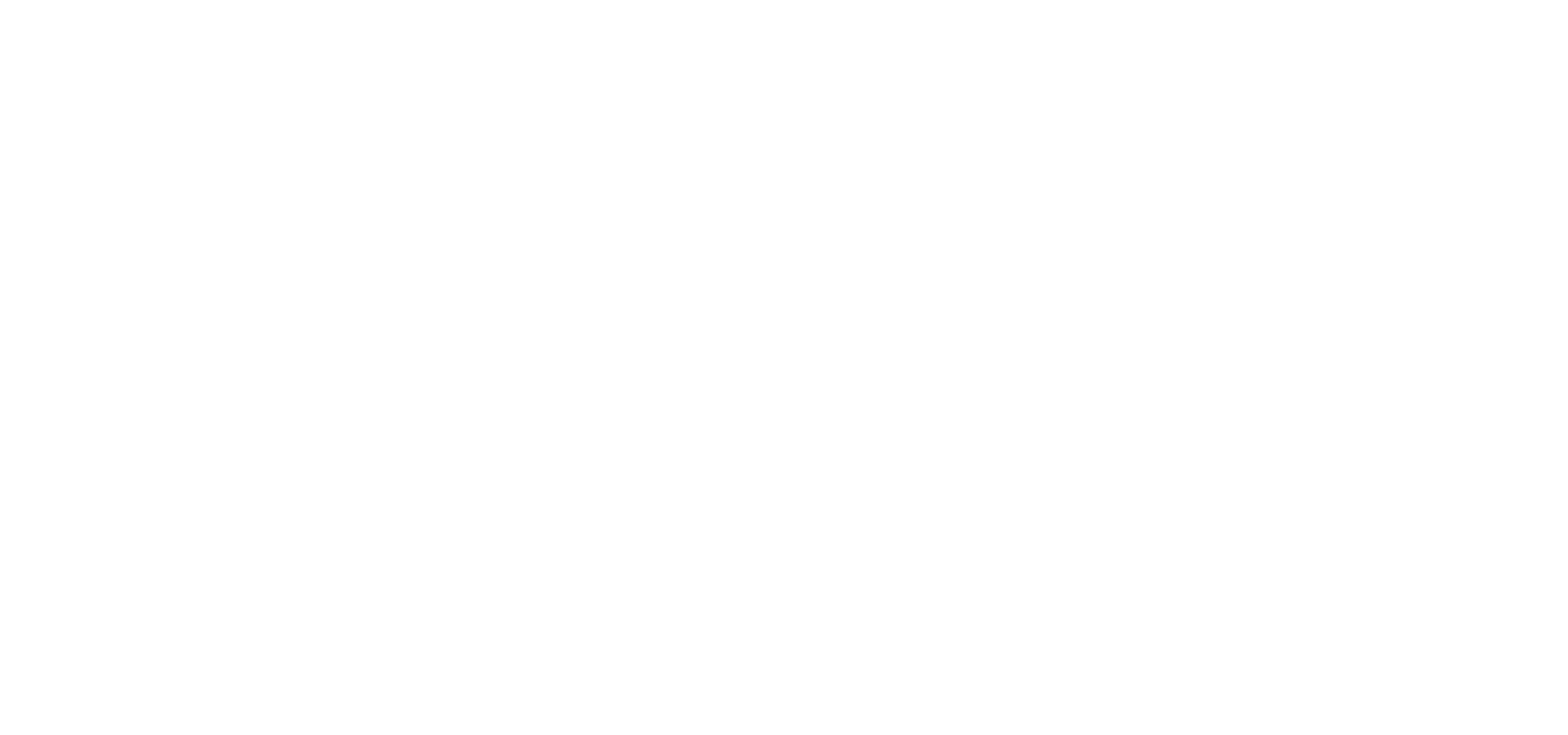 logo-jeanneau-white